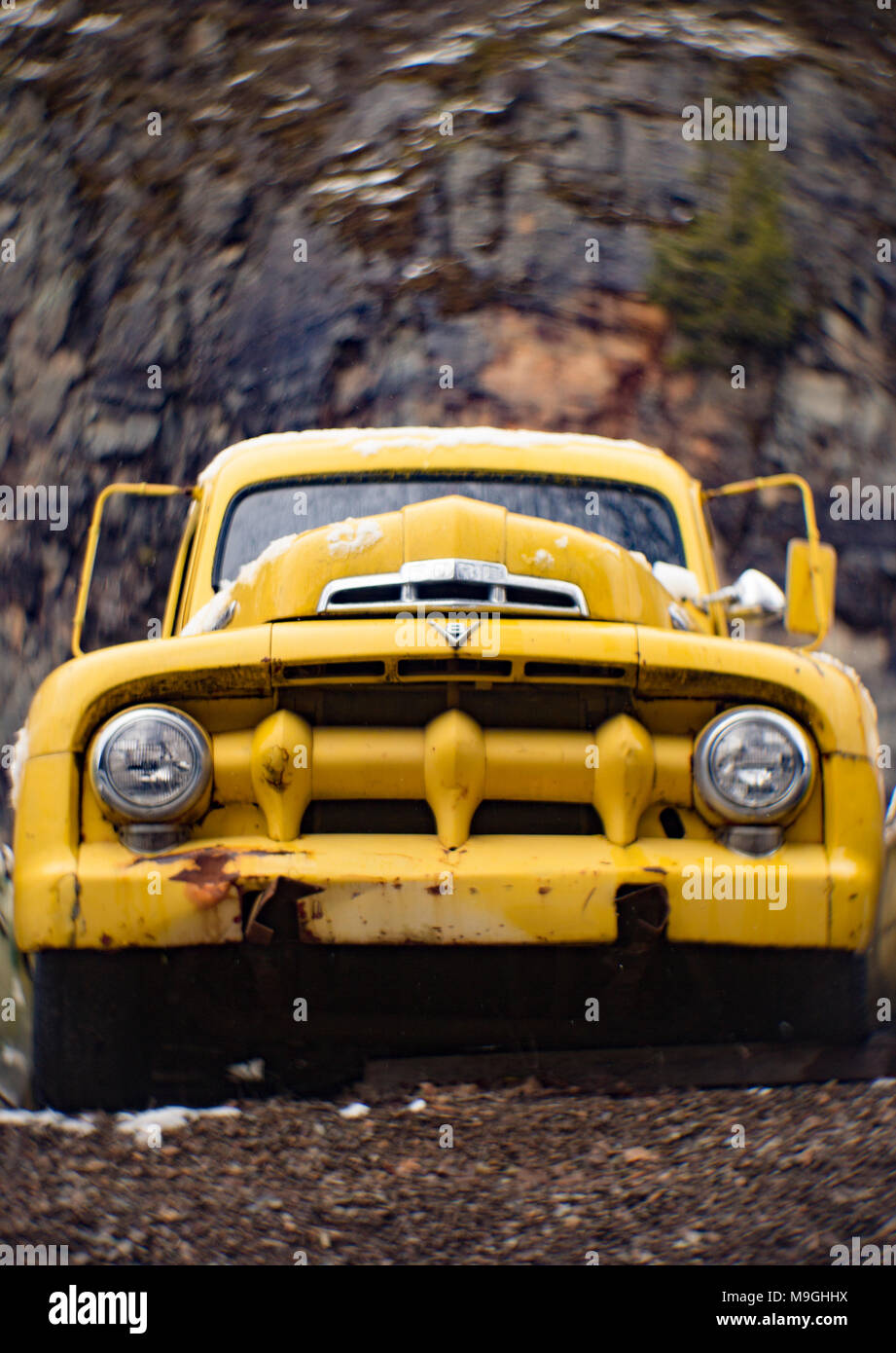 An old, yellow 1951 Ford F5 farm truck, in a stone quarry, east of Clark Fork Idaho. Stock Photo