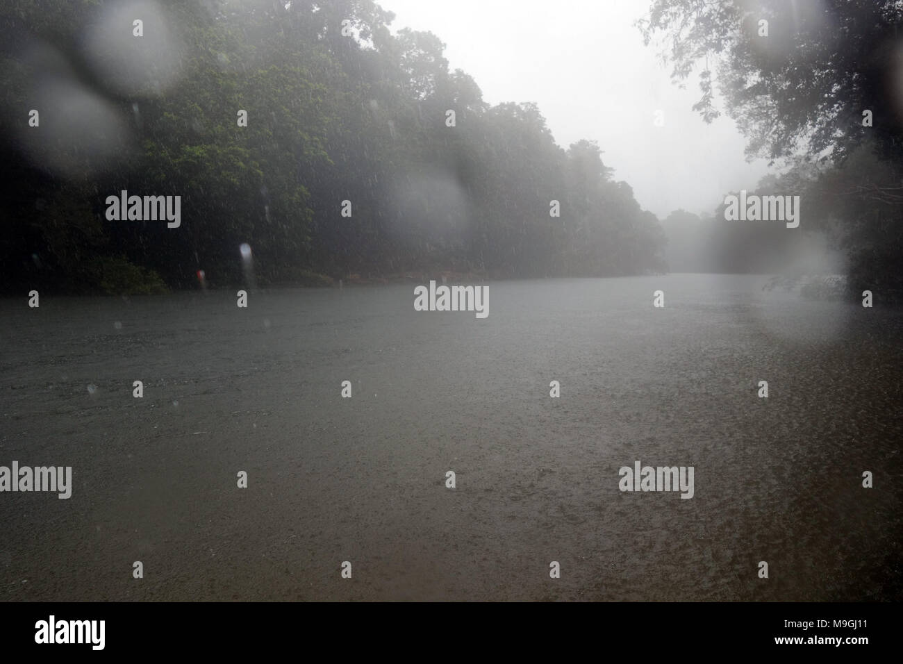 Heavy rain during the wet season amongst rainforest on the Mulgrave River, Goldsborough Valley, near Cairns, Queensland, Australia Stock Photo