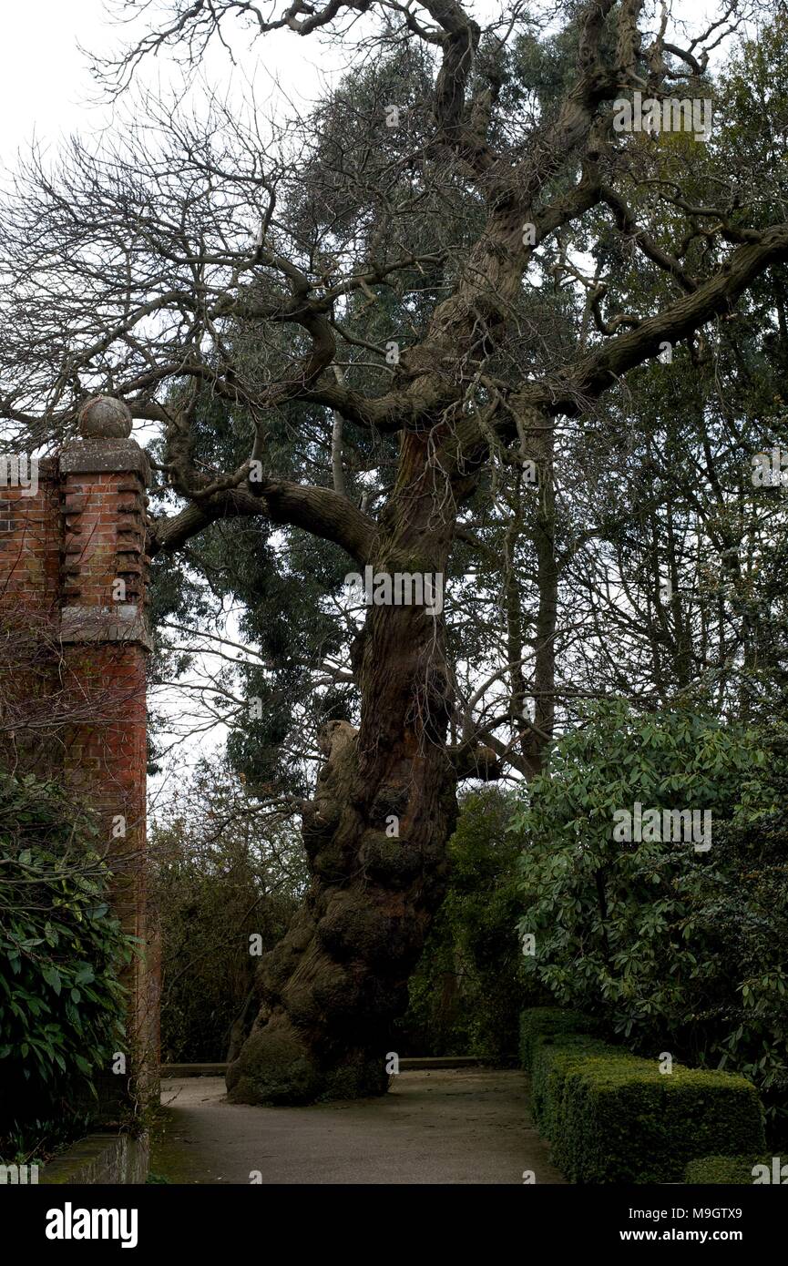 Hampstead Heath, North London Stock Photo Alamy
