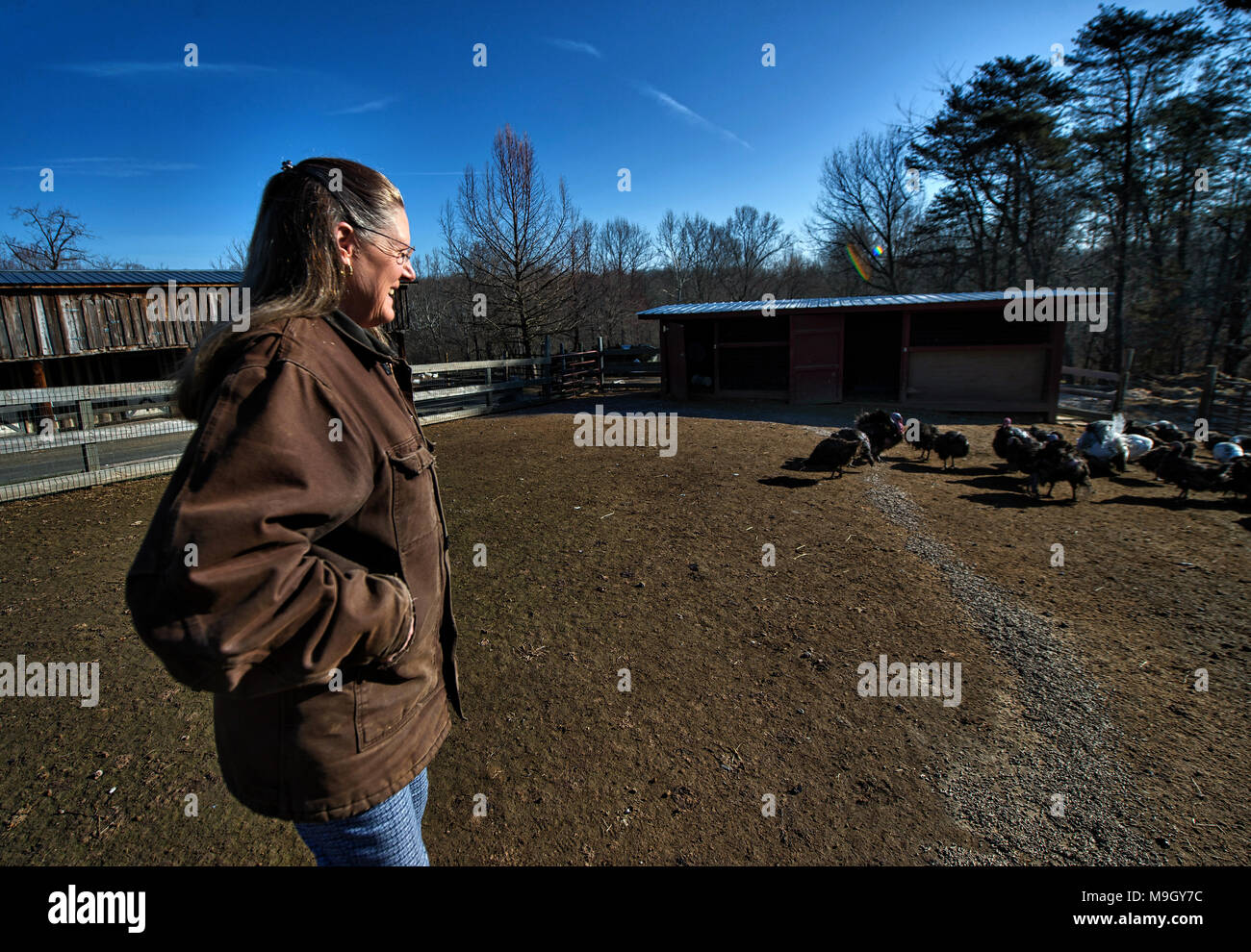 UNITED STATES: March 26, 2018: Elaine is the owner and founder of Fields of Athenry Farms checks on her turkeys. (Photo by Douglas Graham/Loudoun Now) Stock Photo