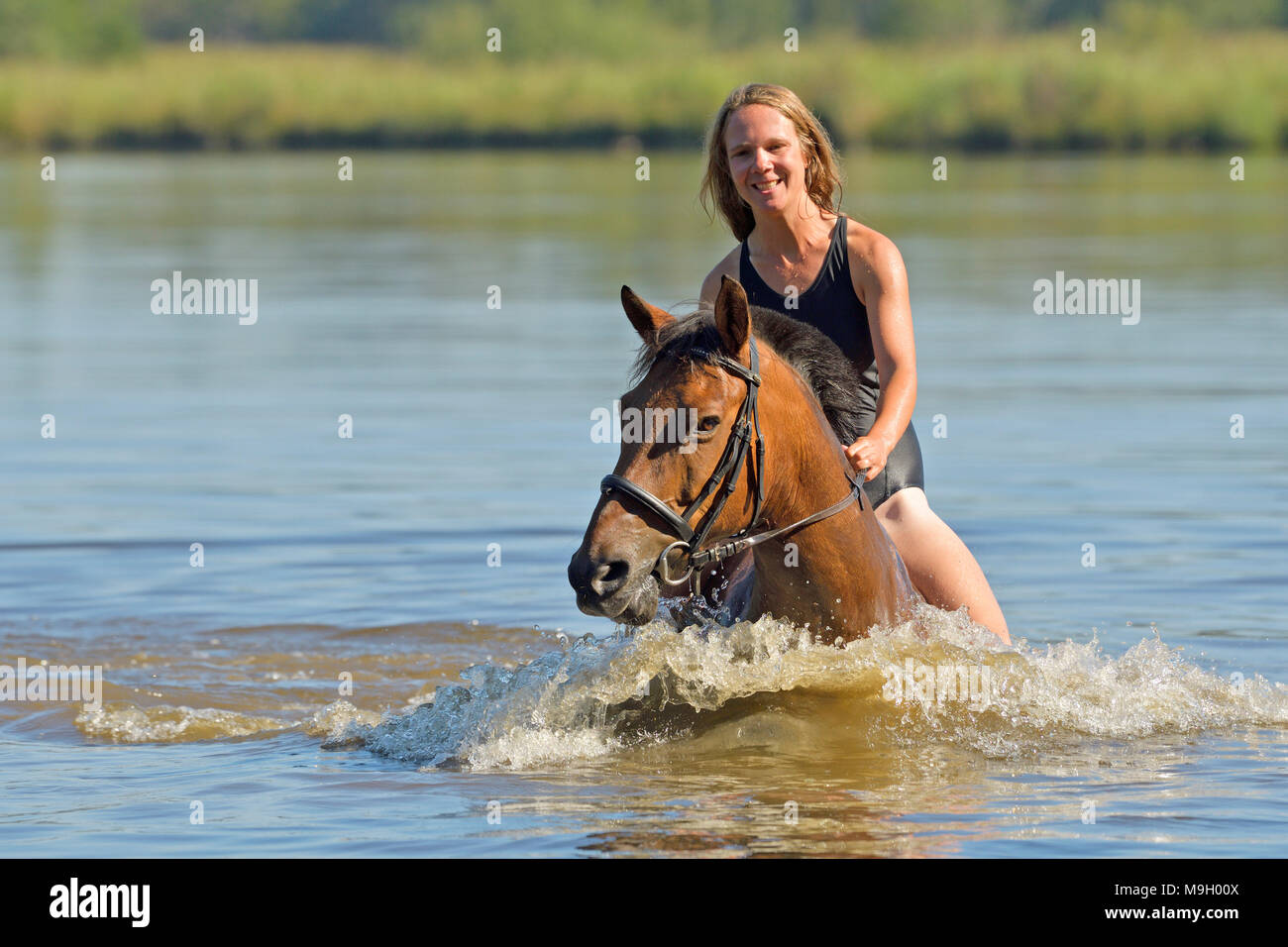 Woman and pony swimming in a lake Stock Photo - Alamy