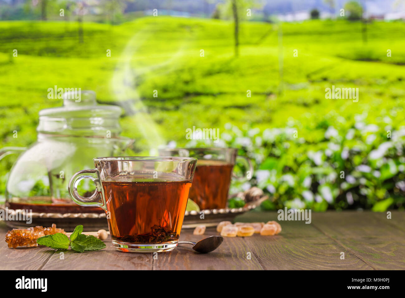 Tea in a glass cup on the wooden table and the tea plantations background  Stock Photo - Alamy