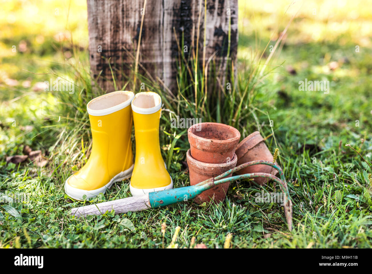 Sun Hats & Wellie Boots: Eco-Friendly Plant Pots for Kids to Make