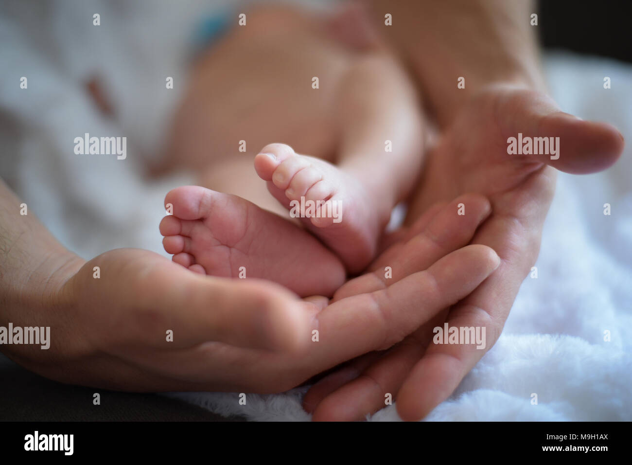 Newborn's feet Stock Photo