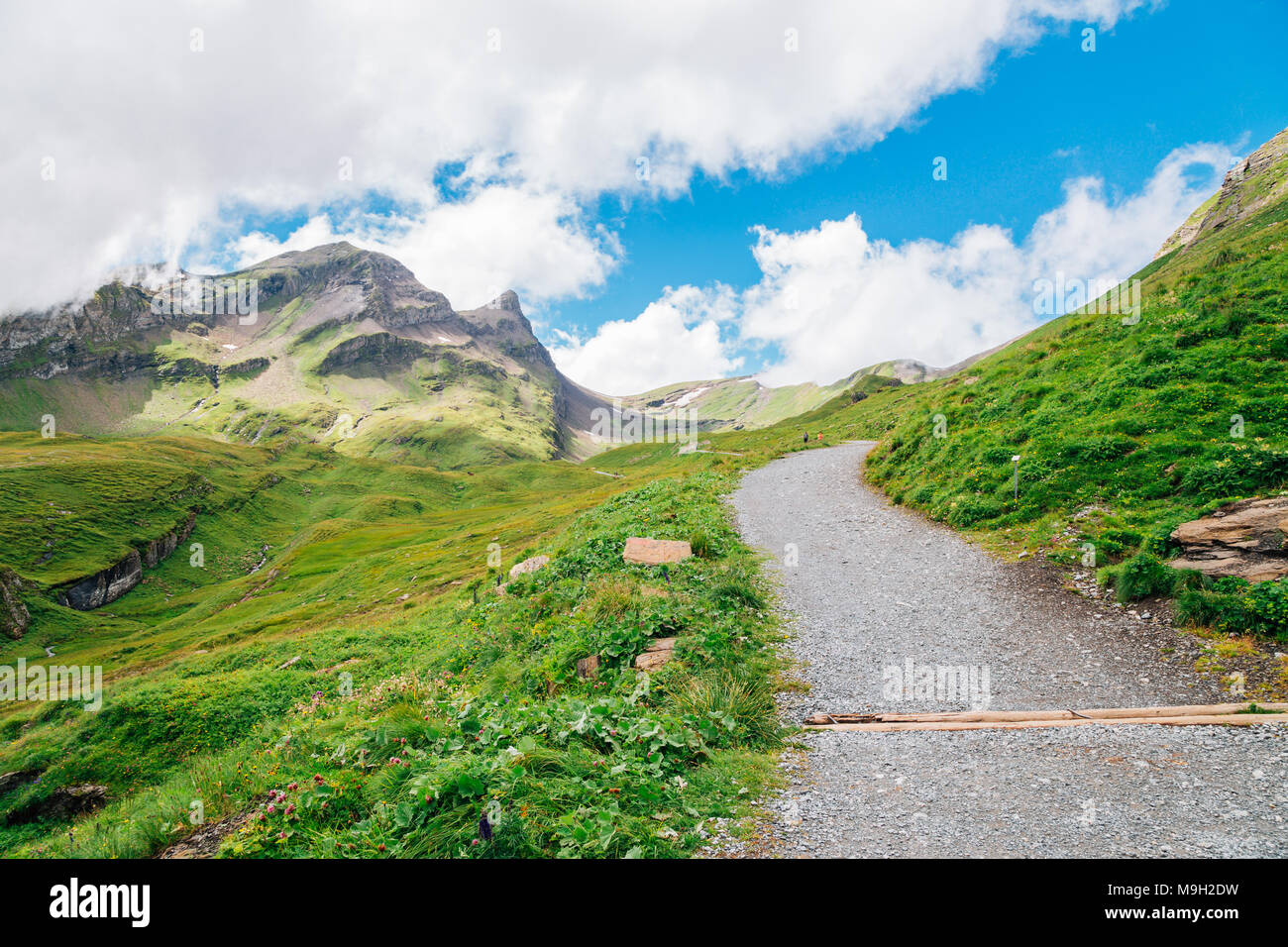 Swiss Alps mountain Grindelwald First Stock Photo Alamy