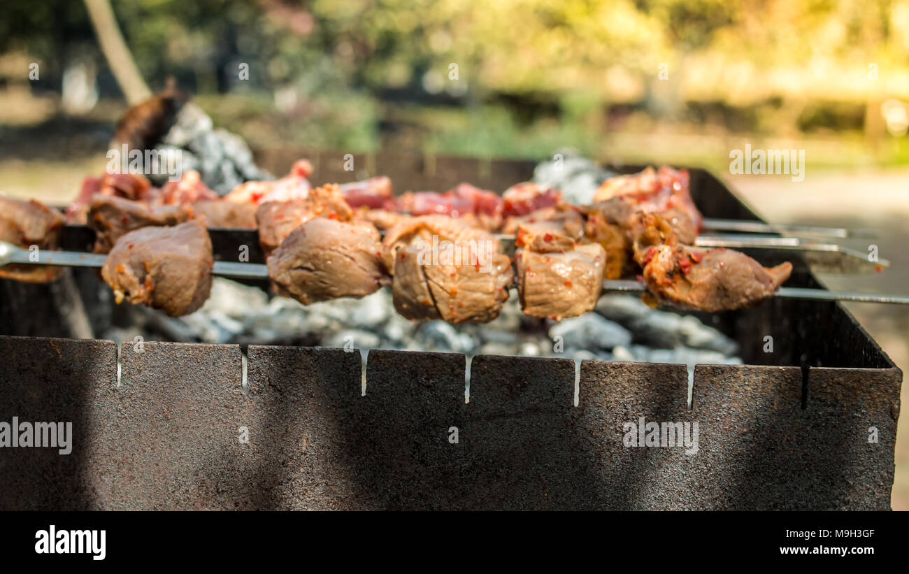 Marinated shashlik kebab preparing on a barbecue grill over charcoal