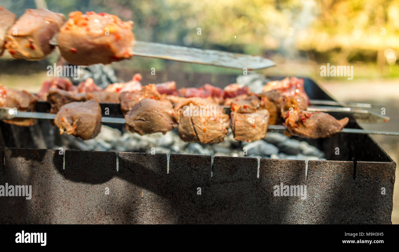 Marinated shashlik kebab preparing on a barbecue grill over charcoal