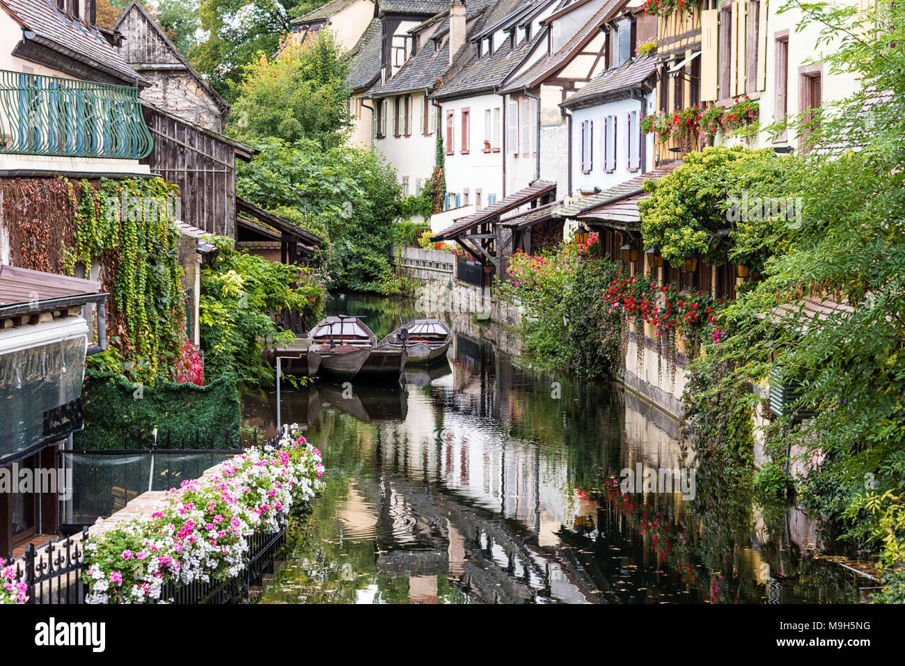 The Little Venice, Colmar, Alsatian Wine Route, France Stock Photo - Alamy