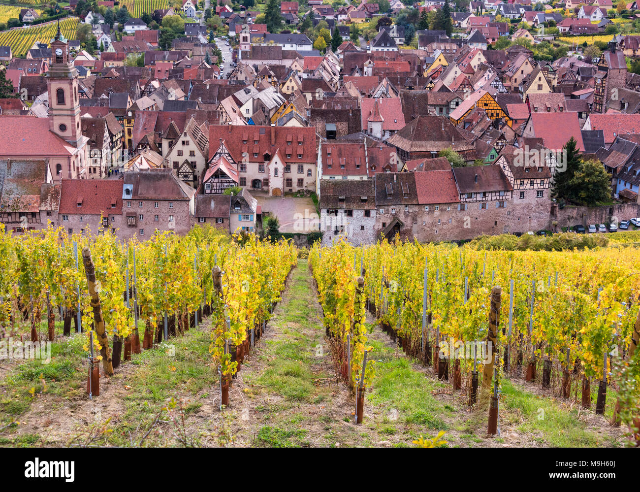 A view towards vineyards and the medieval town of Riquewihr, Alsatian Wine Route, France Stock Photo