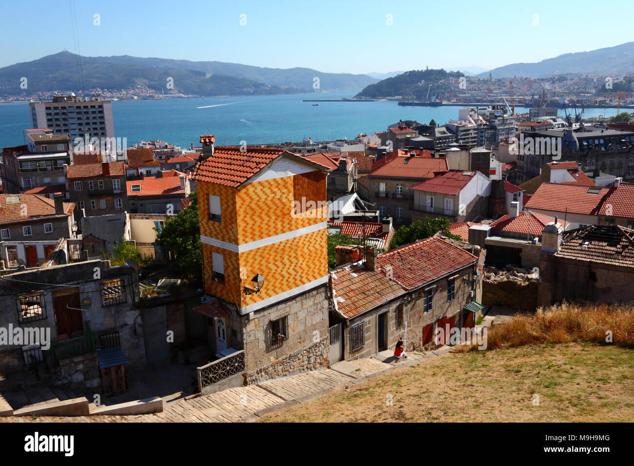 Sand worm (Nephtys caeca). Ria of Vigo, Pontevedra province, Galicia, Spain  Stock Photo - Alamy