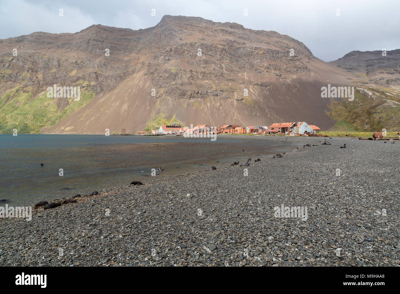 Stromness harbour, South Georgia, site of former whaling station and place of rescue of Sir Ernest Shackleton on his Endurance expedition Stock Photo