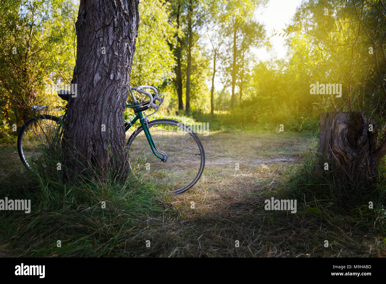 Old forgotten green sport bike in the forest Stock Photo