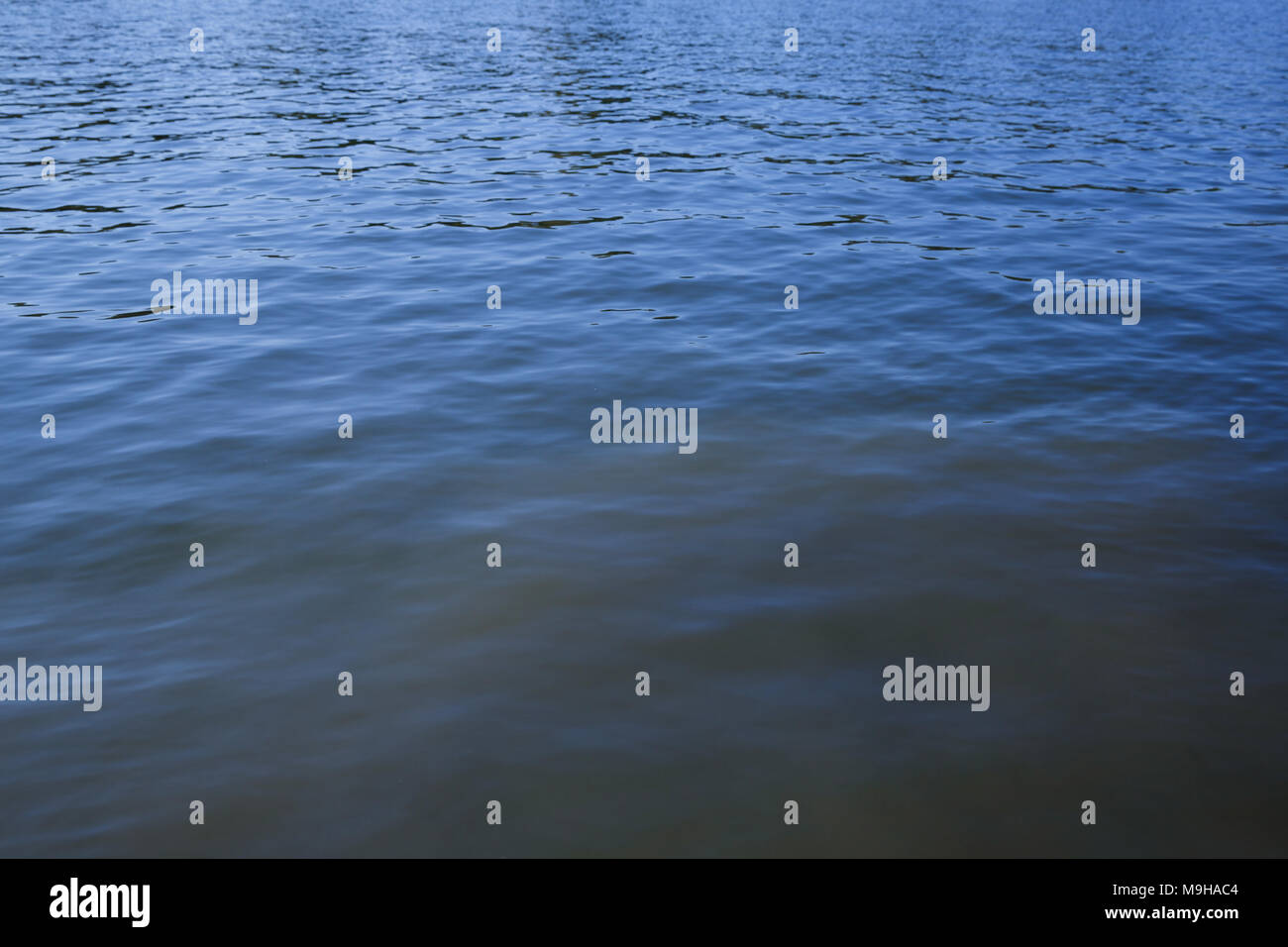 Water surface with ripples and sunrays reflections Stock Photo