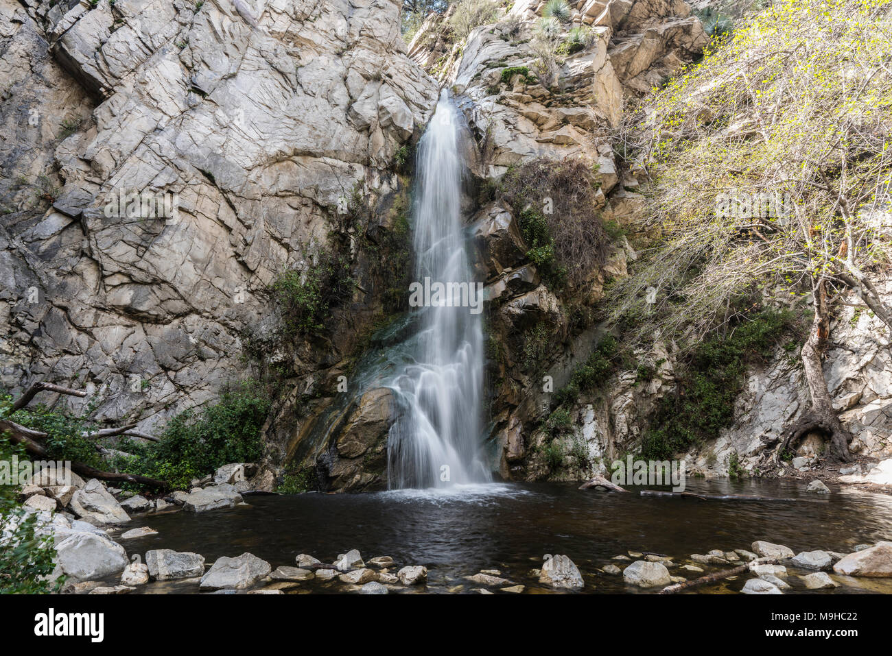 Spring flow at Sturtevant Falls in the San Gabriel Mountains above Los Angeles and Pasadena California. Stock Photo