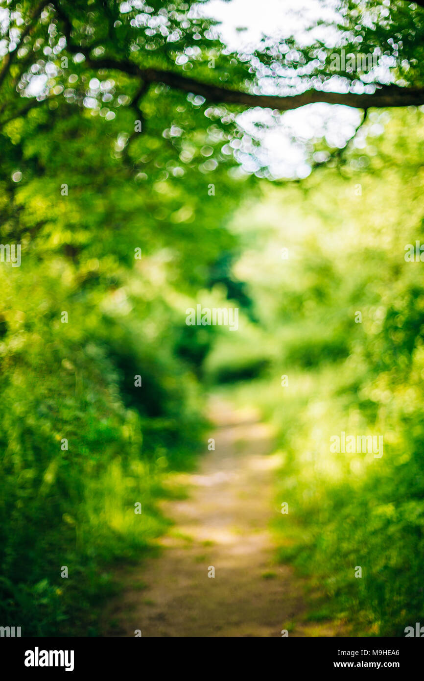 Blurred Abstract Bokeh Boke Natural Background Of Walkway Path Lane In Summer Park. Stock Photo