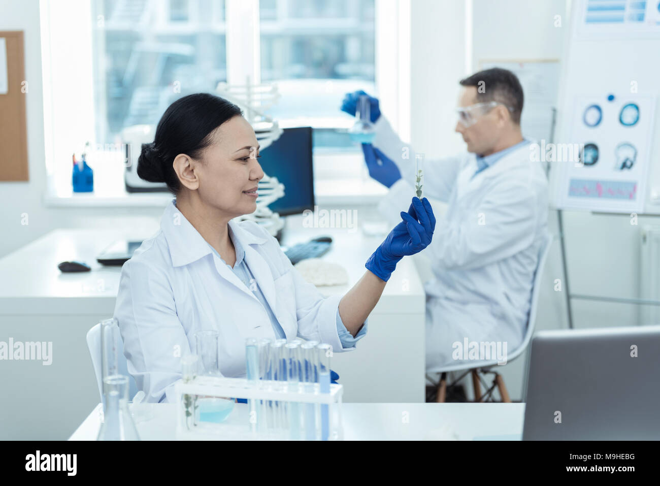 Content scientist making an important experiment Stock Photo