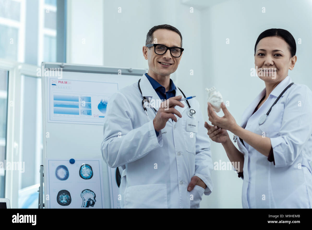 Professional doctors holding a model of heart Stock Photo - Alamy