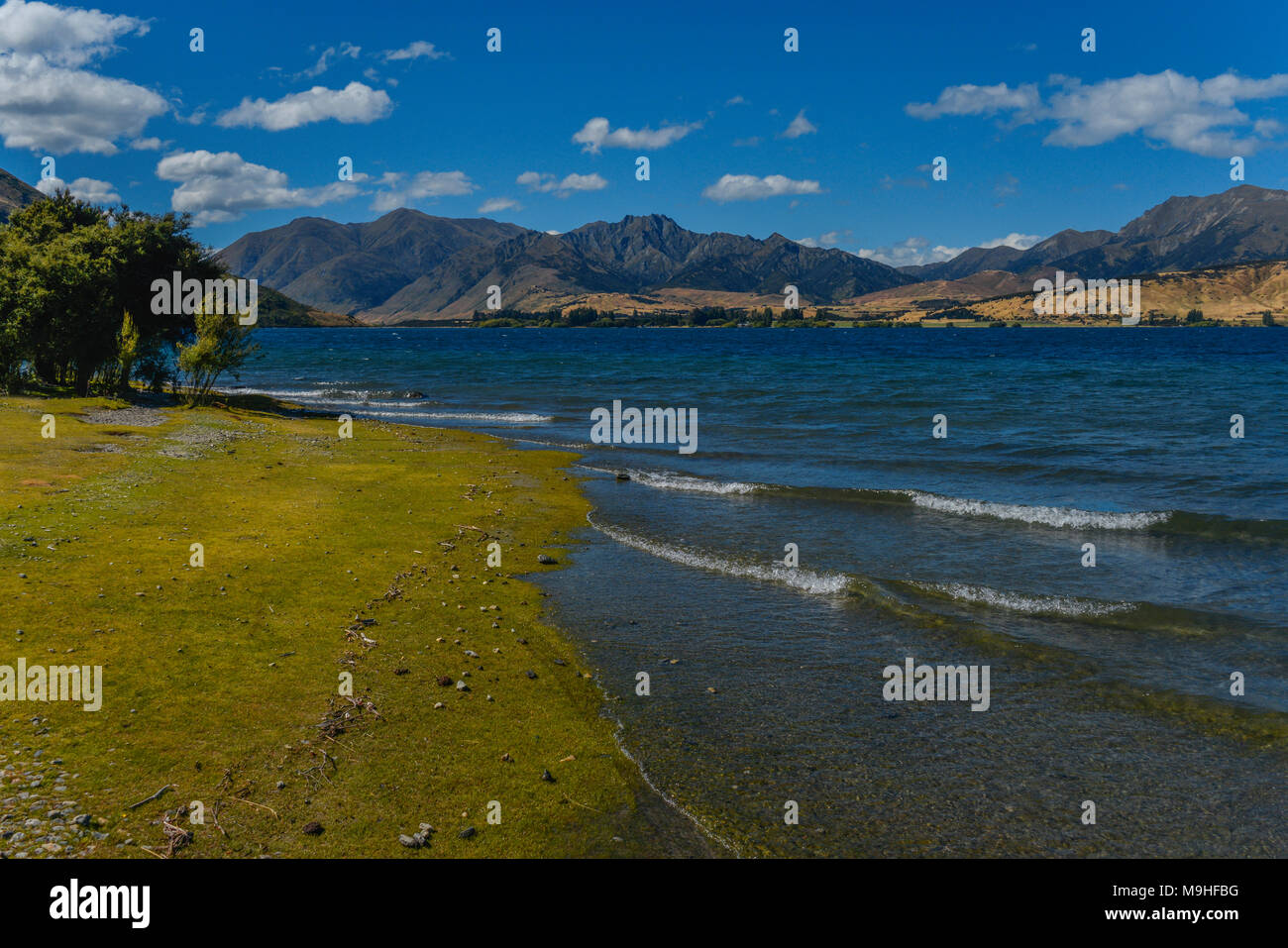 Lakeside view of Lake Wanaka in the South Island of New Zealand. Gentle ...