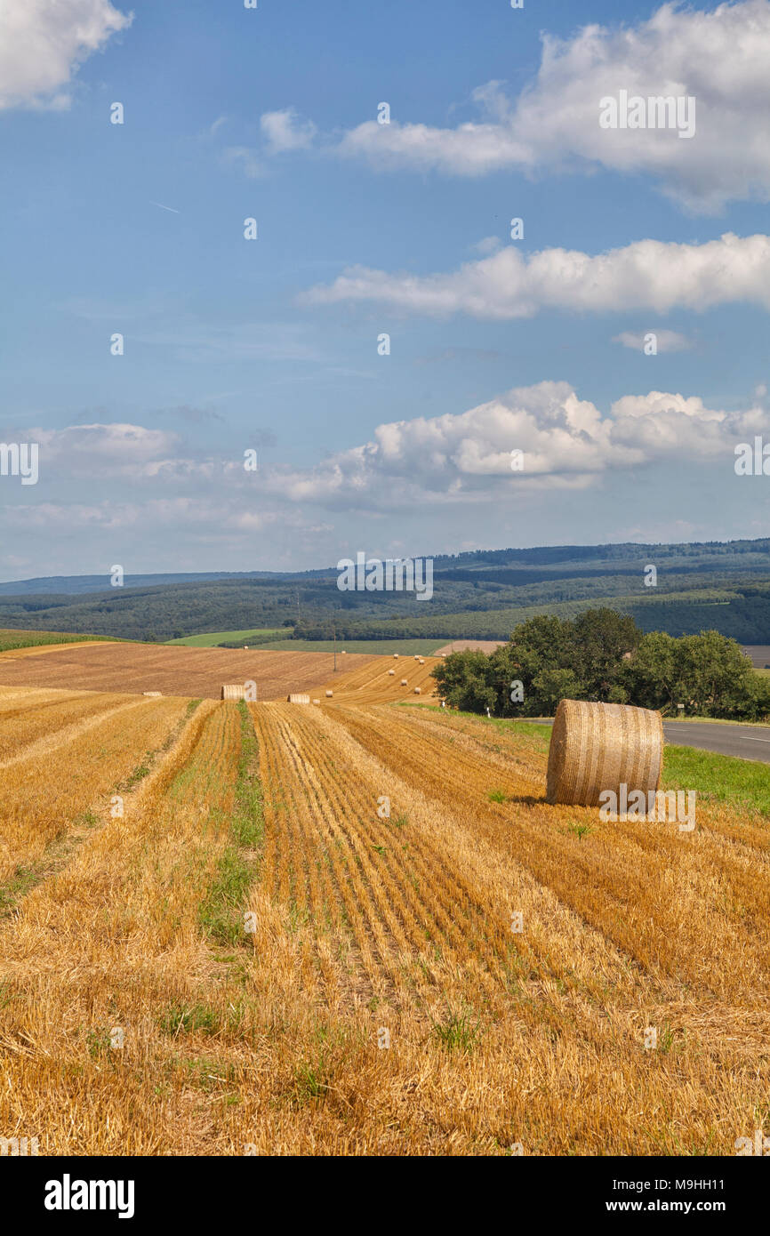 Field with harvested hay bales Stock Photo - Alamy