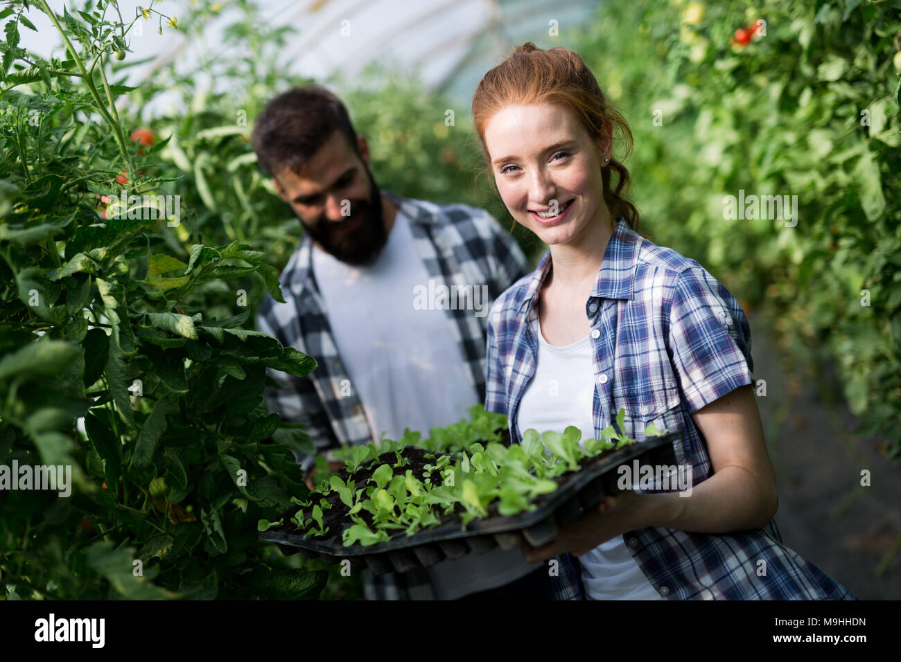 Young couple farming vegetables Stock Photo - Alamy