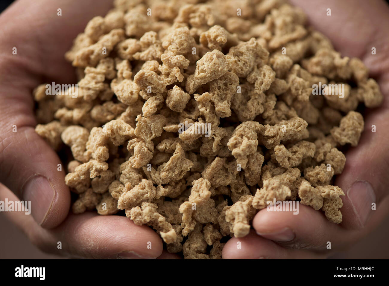 closeup of some chunks of textured soy protein in the hands of a young caucasian man Stock Photo