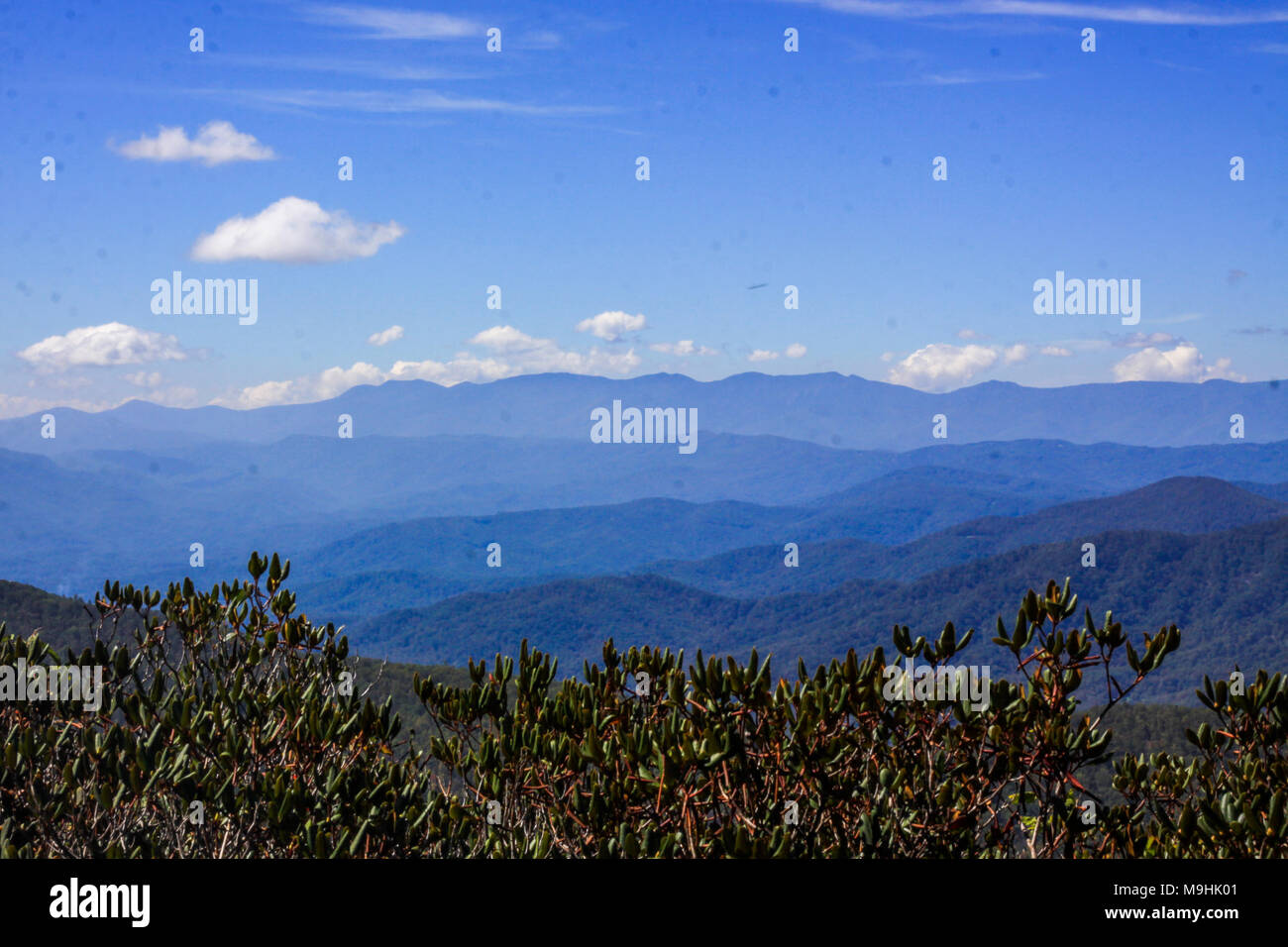 North carolina pisgah national forest Stock Photo Alamy