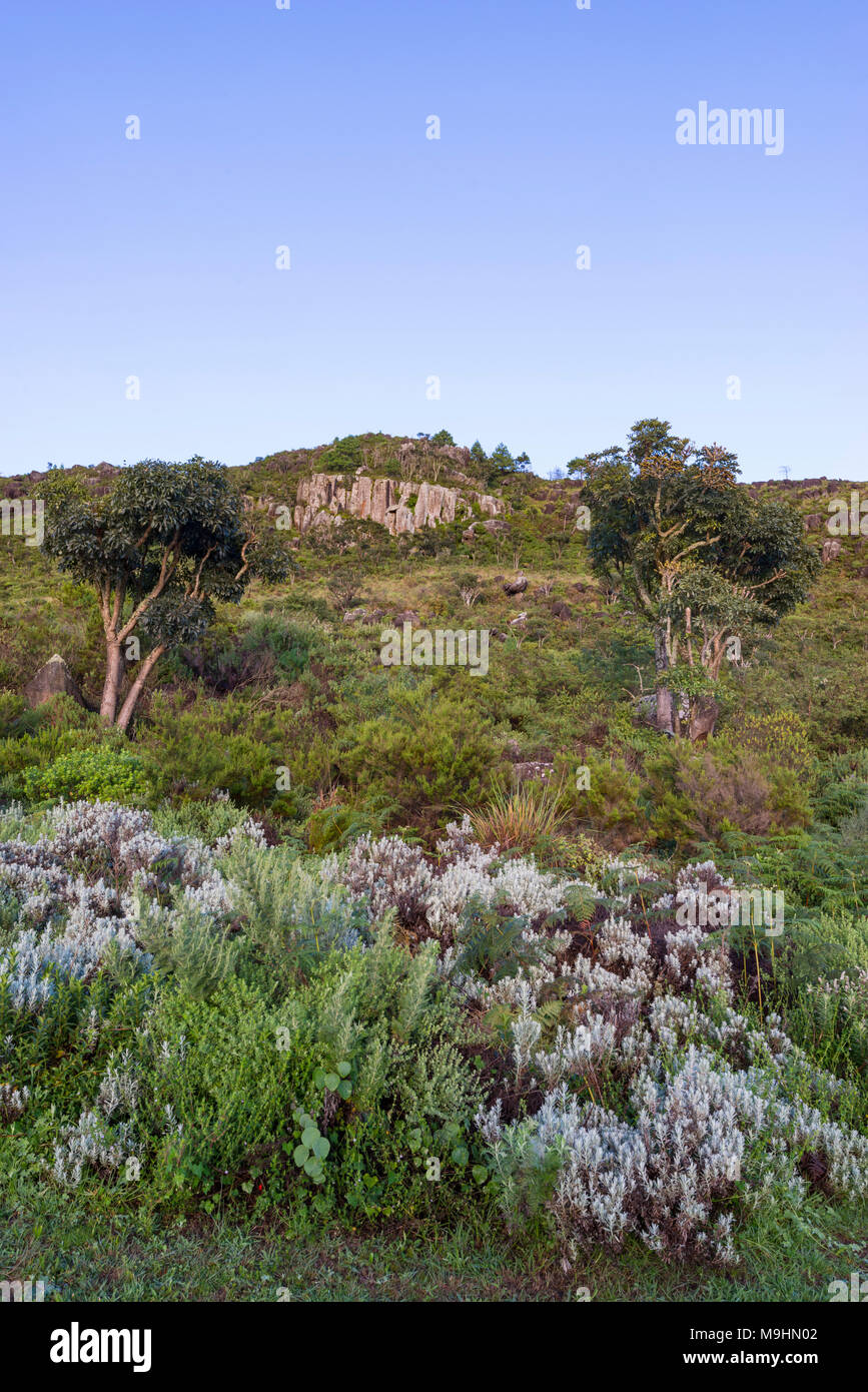 A view of the natural vegetation in Zimbabwe's Nyanga region. Stock Photo