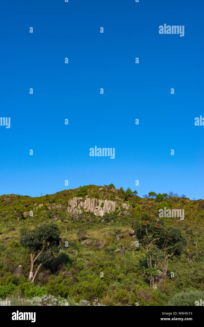 A view of the natural vegetation in Zimbabwe's Nyanga region. Stock Photo