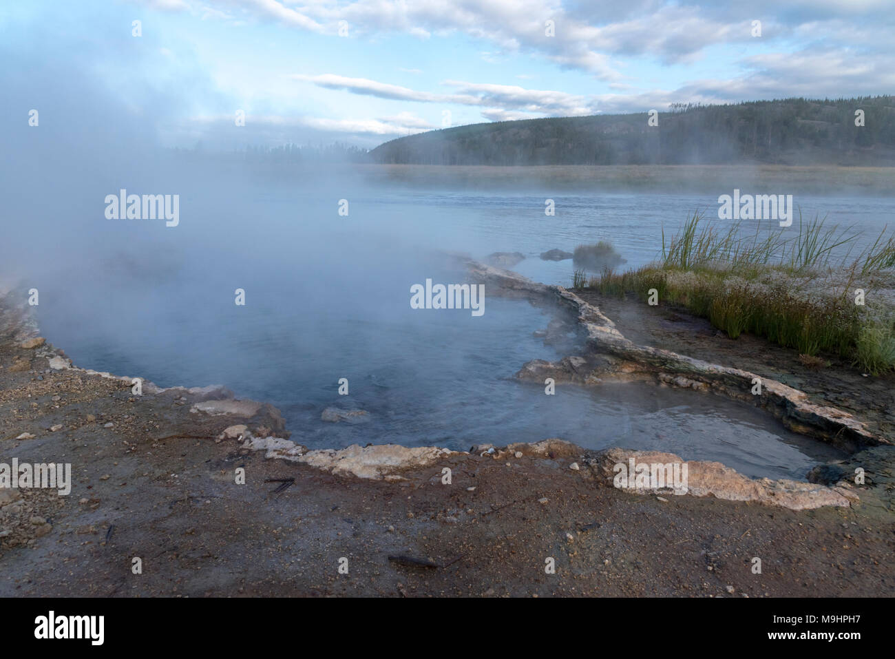 Steam coming off of hot river water, near bank. Stock Photo