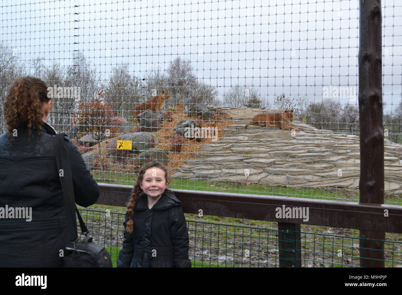 'five sisters zoo' 'Midlothian ' 'Scotland' 'zoo' 'animals' 'wildlife' Stock Photo