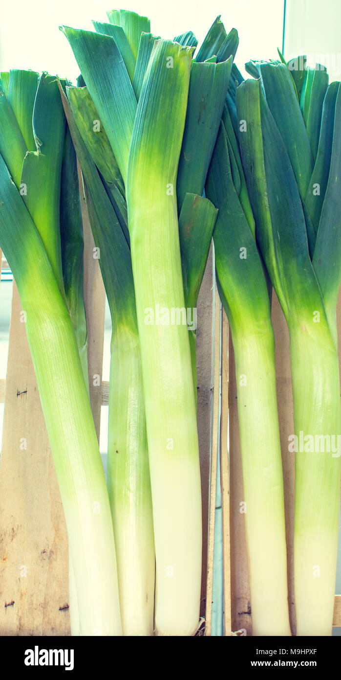 Leek in a shop window selling vegetables Stock Photo Alamy