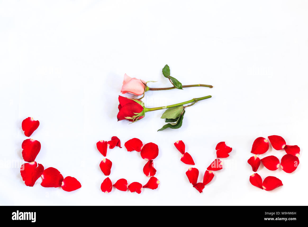 Red and pink rose and the Word LOVE Spelled With Isolated Red Roses on  White Background Perfect for Valentines Day Stock Photo - Alamy
