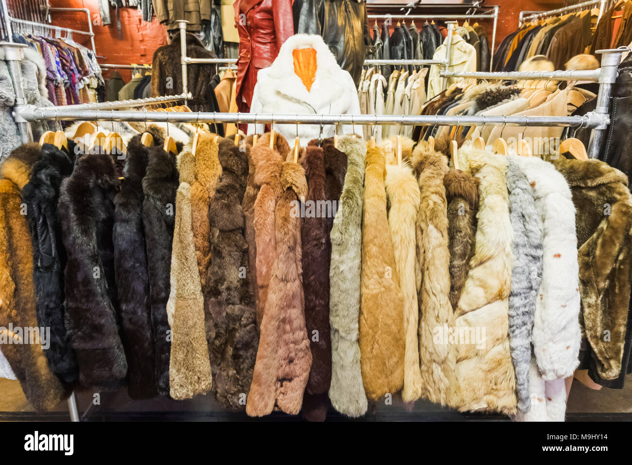 teddy bear oversized jacket