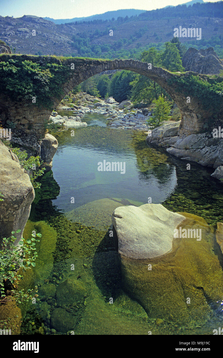 Old genoese stone bridge at Niolu valley, Calacuccia, Corsica, France, Mediterranean, Europe Stock Photo