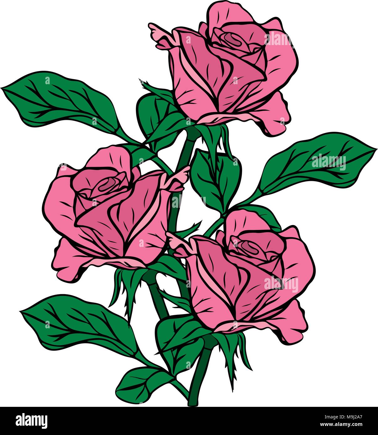 Three Drawn Roses bouquet of three pink roses drawn by hand isolated on white background ...