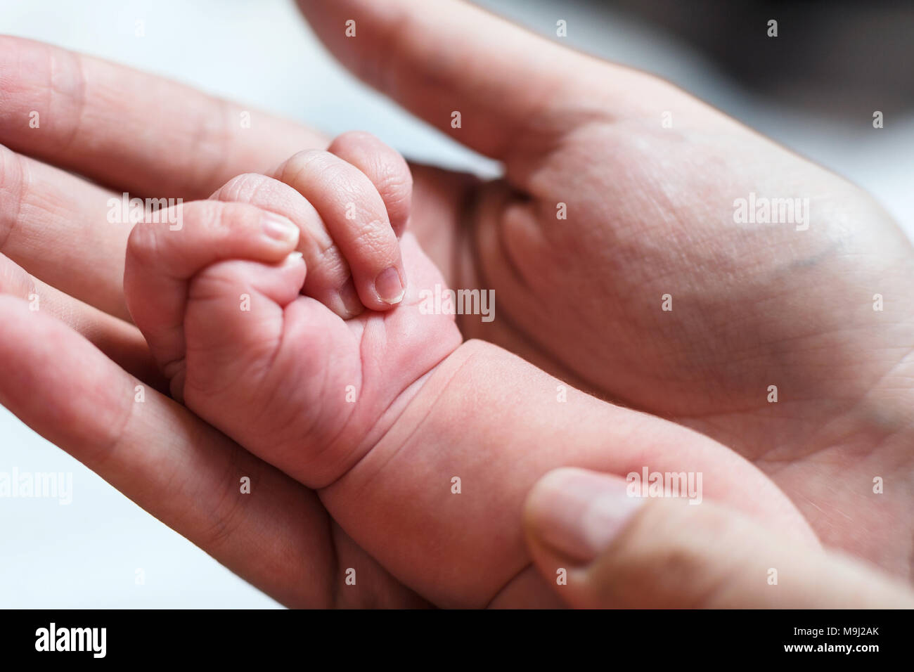 Female hand holding newborn baby's hand. Stock Photo