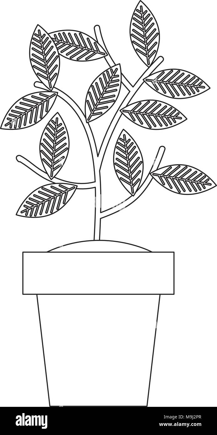 house plant in pot icon vector illustration design Stock Vector Image ...