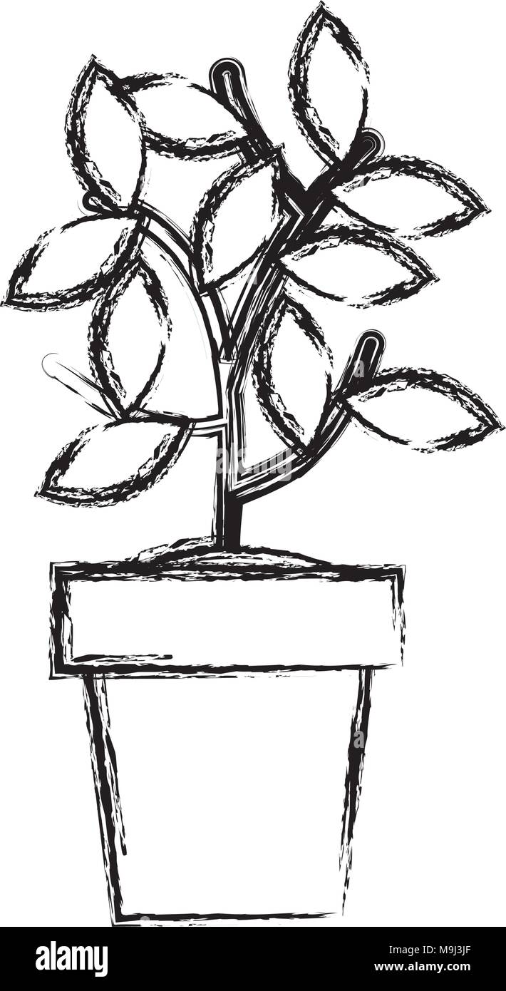house plant in pot icon Stock Vector Image & Art - Alamy