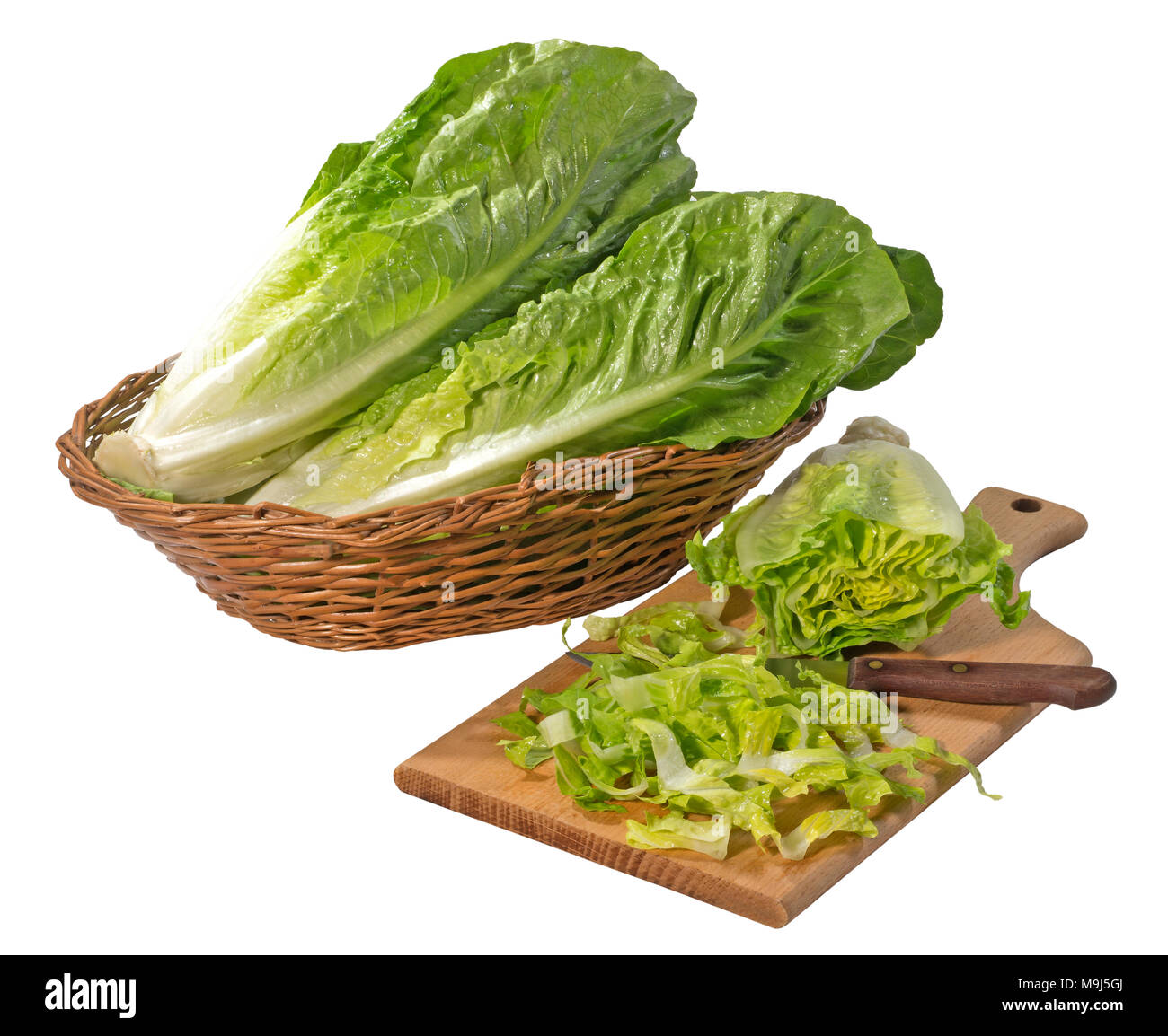 Romaine Lettuce Stock Photo