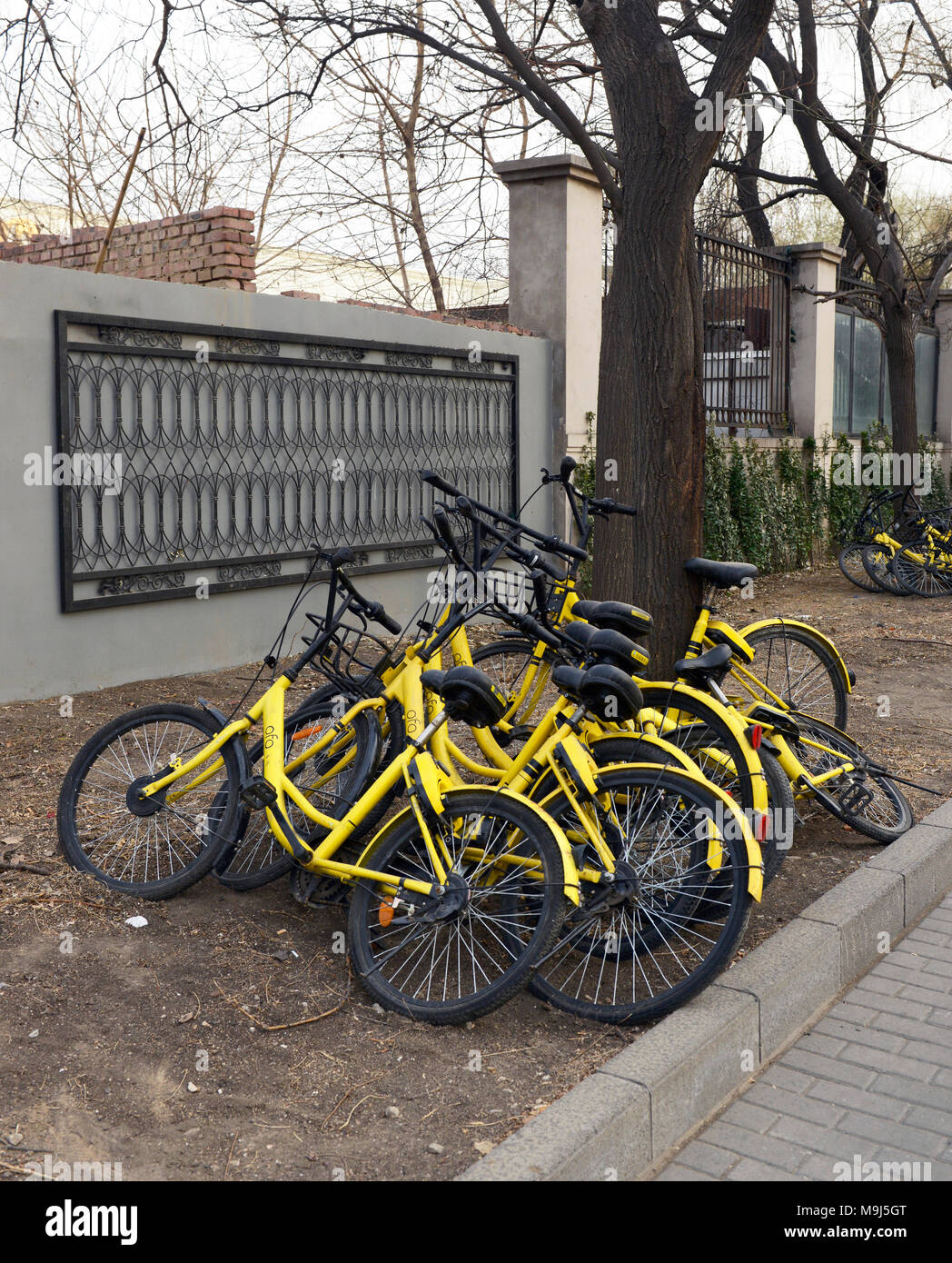 yellow bike hire