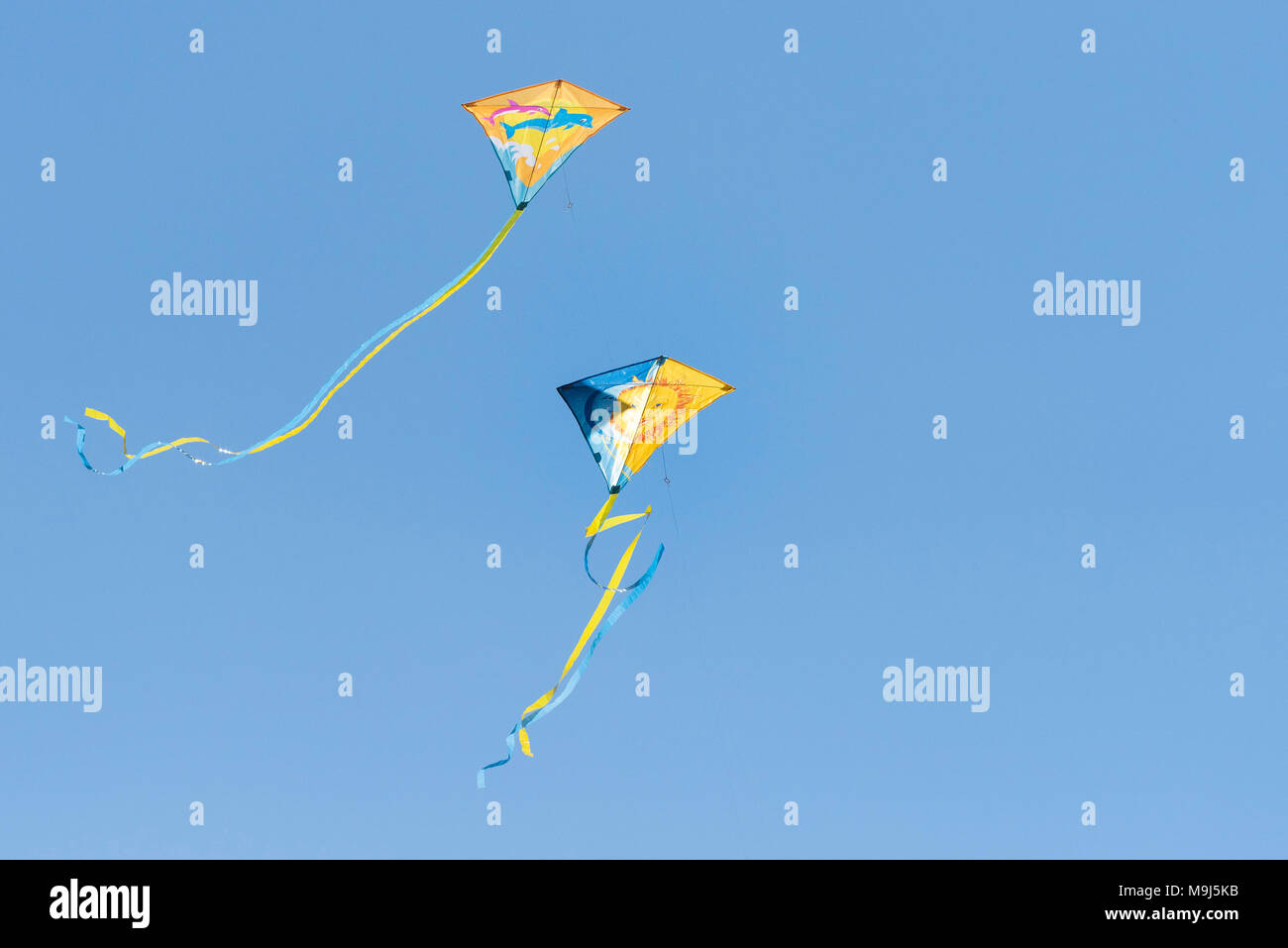Two colourful kites flying against a blue cloudless sky. Stock Photo