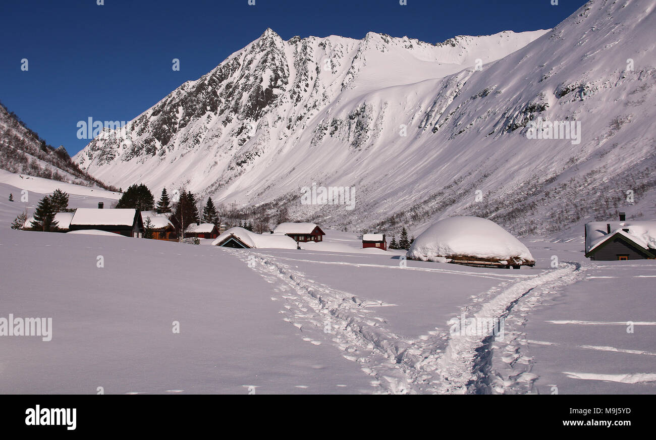 Pristine mountain winterscape with snowdrifts and buried chalets showing mountain pastures at wintertime Stock Photo