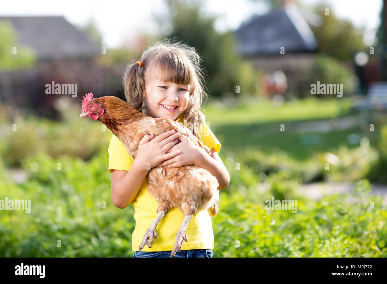 Child with hen in hands in rural Stock Photo