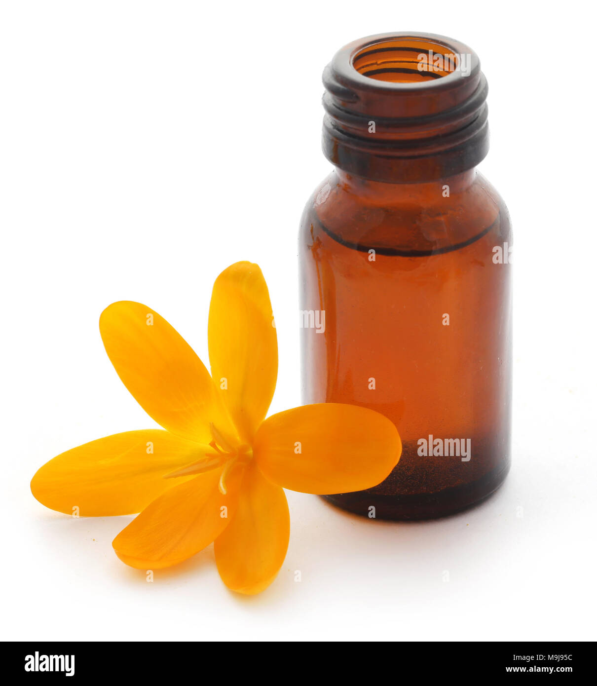 Yellow Crocus or Saffron with essential oil over white background Stock Photo Alamy
