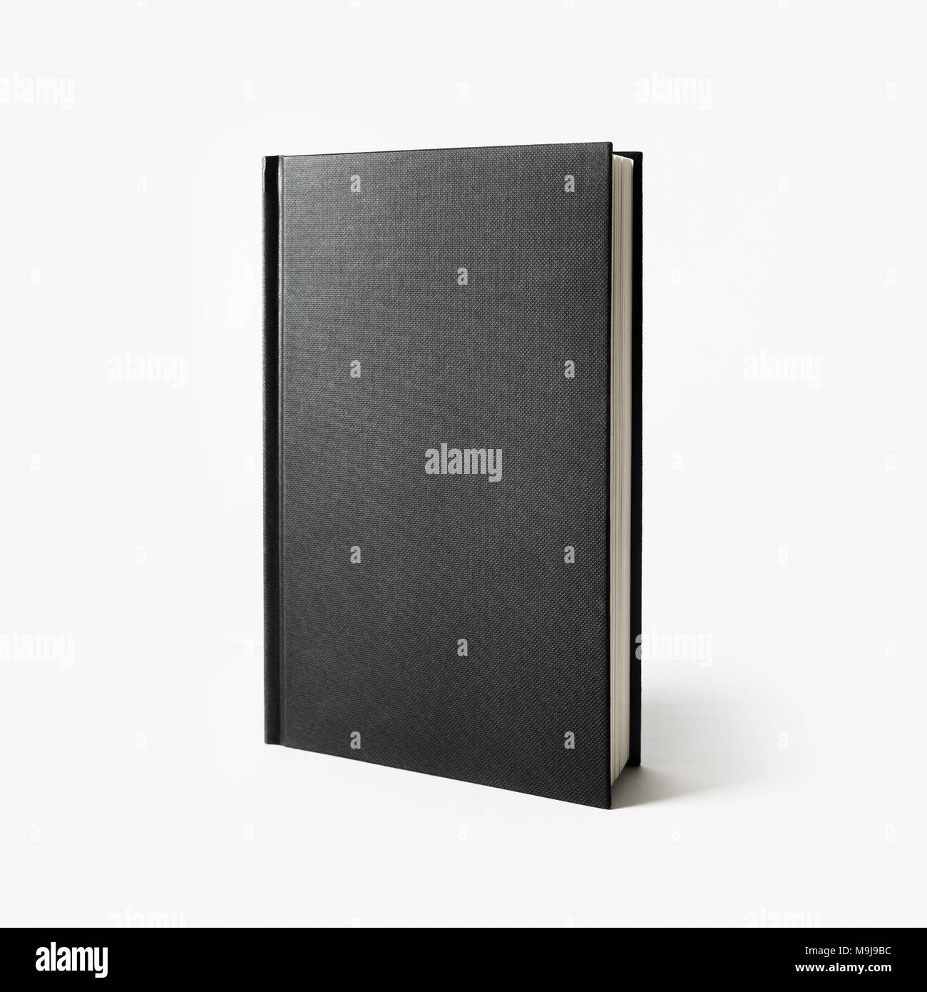 Vertical book cover mock Cut Out