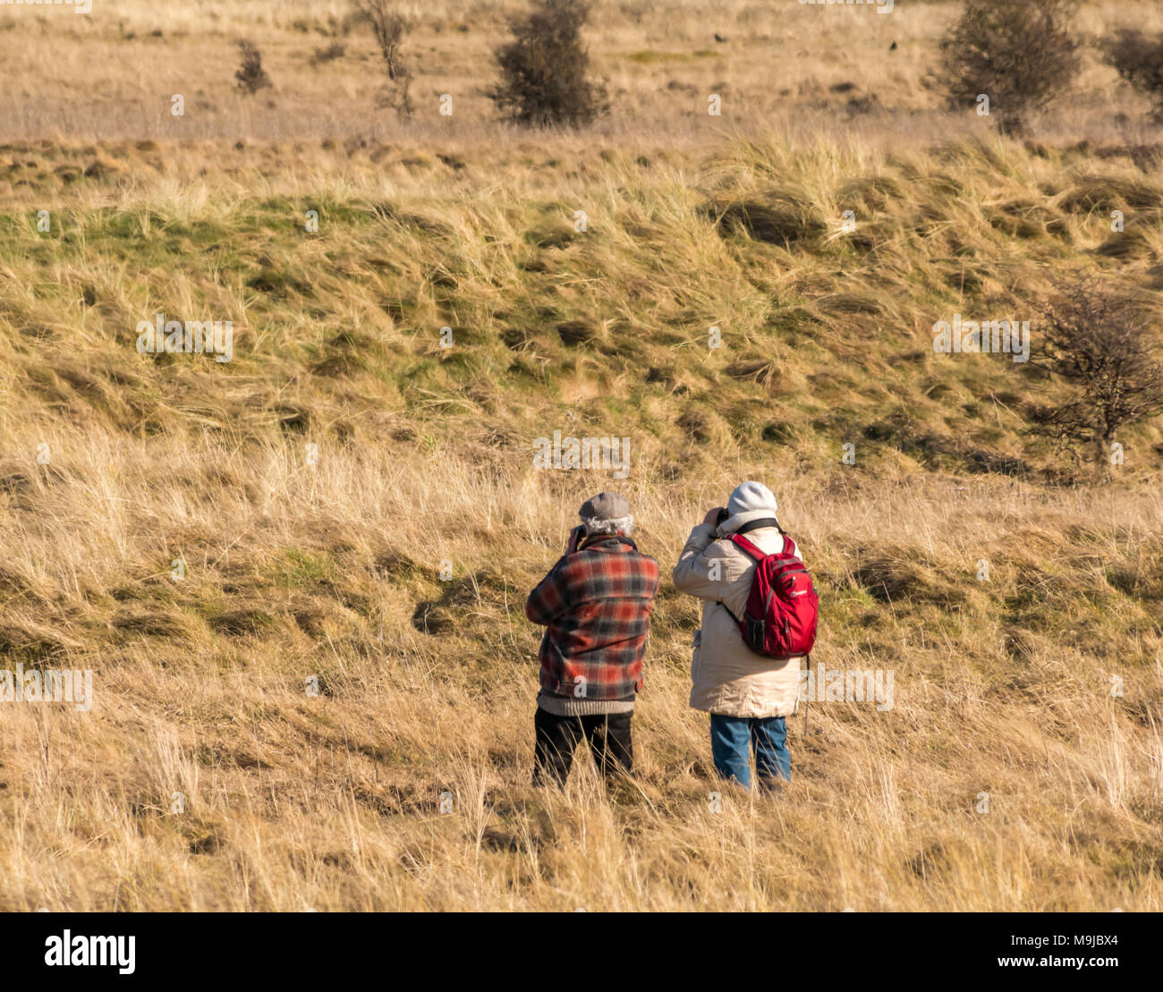 Aberlady Nature Reserve, Aberlady, East Lothian, Scotland, United Kingdom, 26th March 2018. A birdwatching couple with binoculars looking for birds Stock Photo
