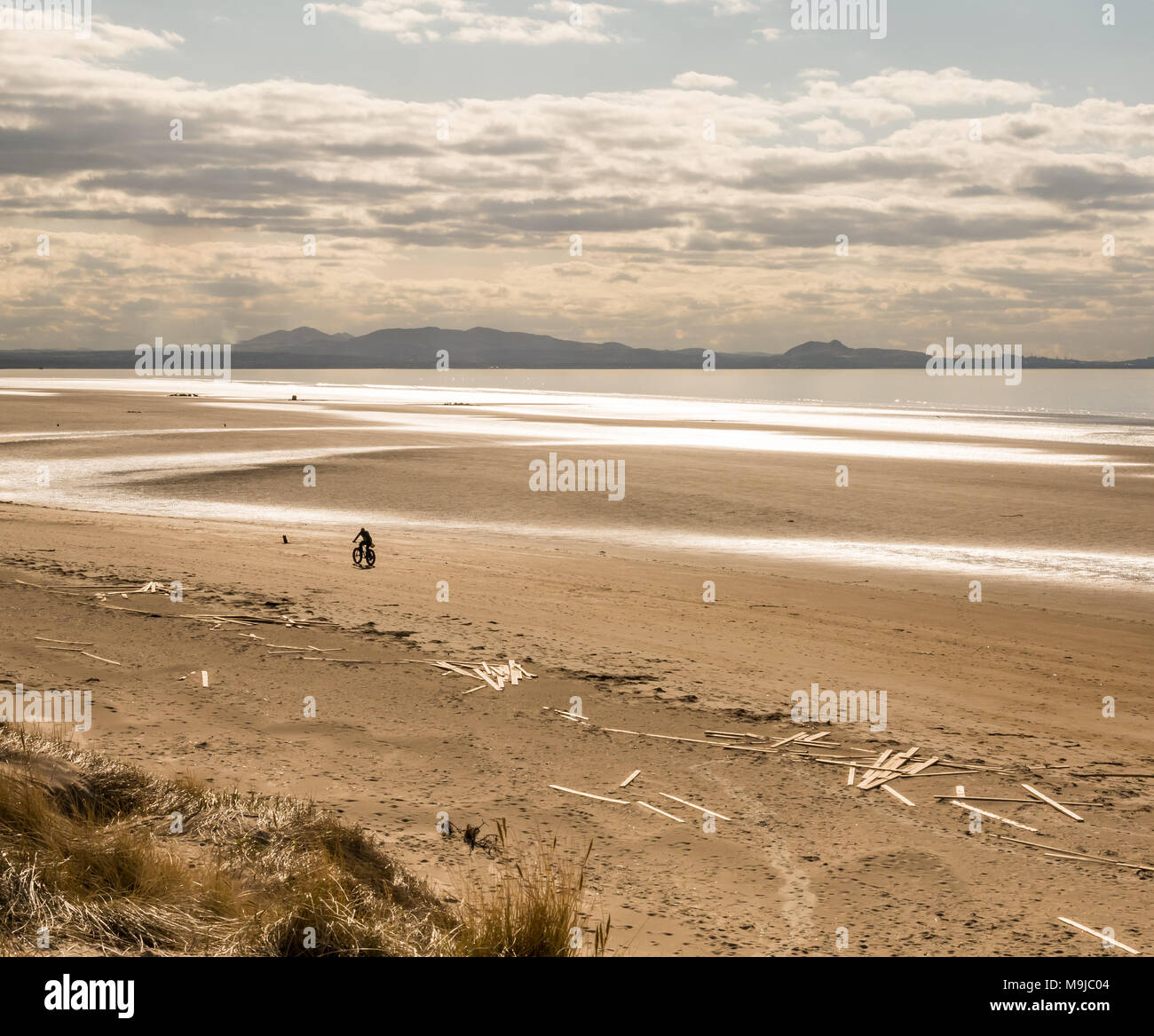 Aberlady Nature Reserve, Aberlady, East Lothian, Scotland, United Kingdom, 26th March 2018. Planks of timber lie washed up after spilling from a cargo vessel ‘Frisian Lady’ which lost the timber bundles during severe weather on 2nd March during stormy weather.  A man rides a bicycle along the beach Stock Photo