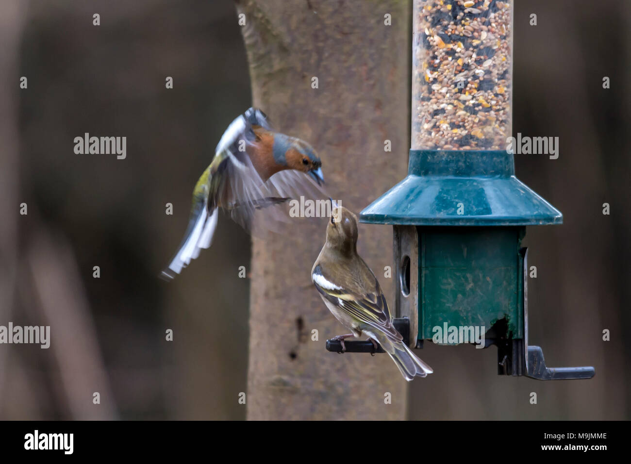 Rutland Water Oakham 26th Mar 2018 Busy Sunny Day On The