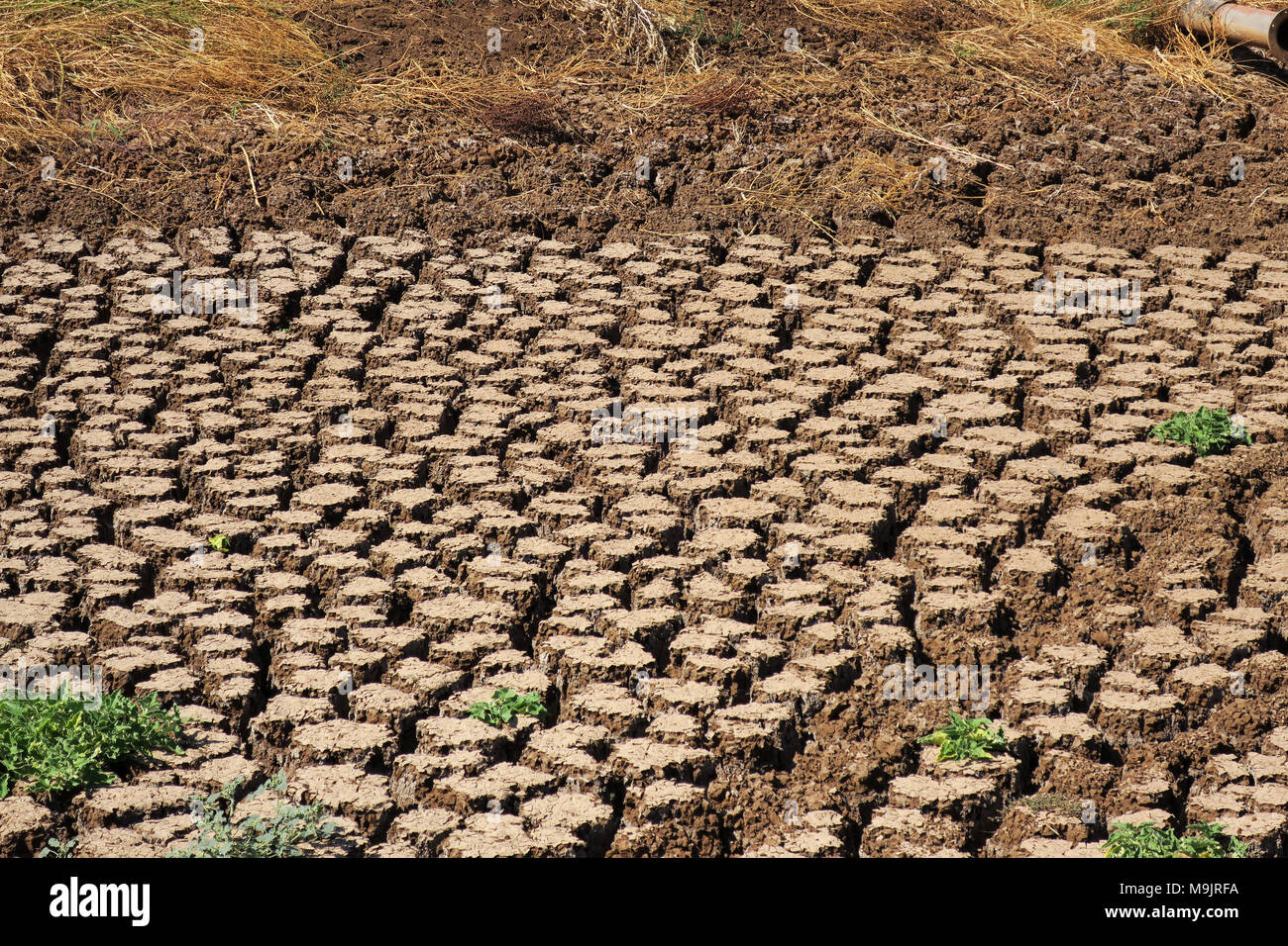 Parched soil in the Jezreel Valley in Israel Stock Photo