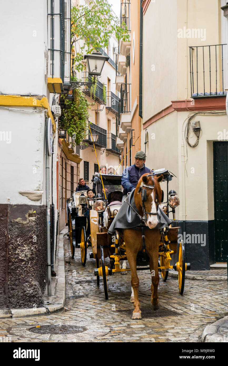 A horse drawn carriage is taking tourists on a tour through narrow
